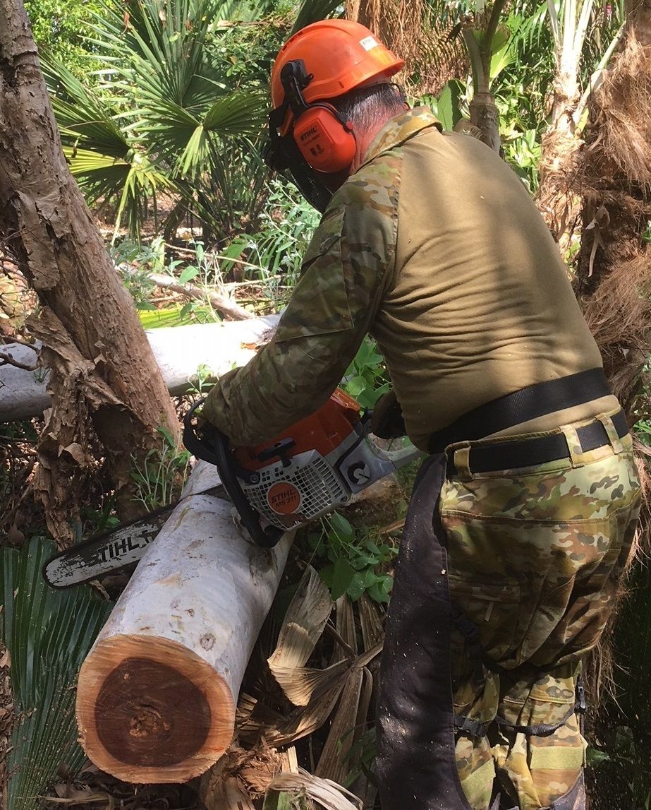 Chainsaw Training